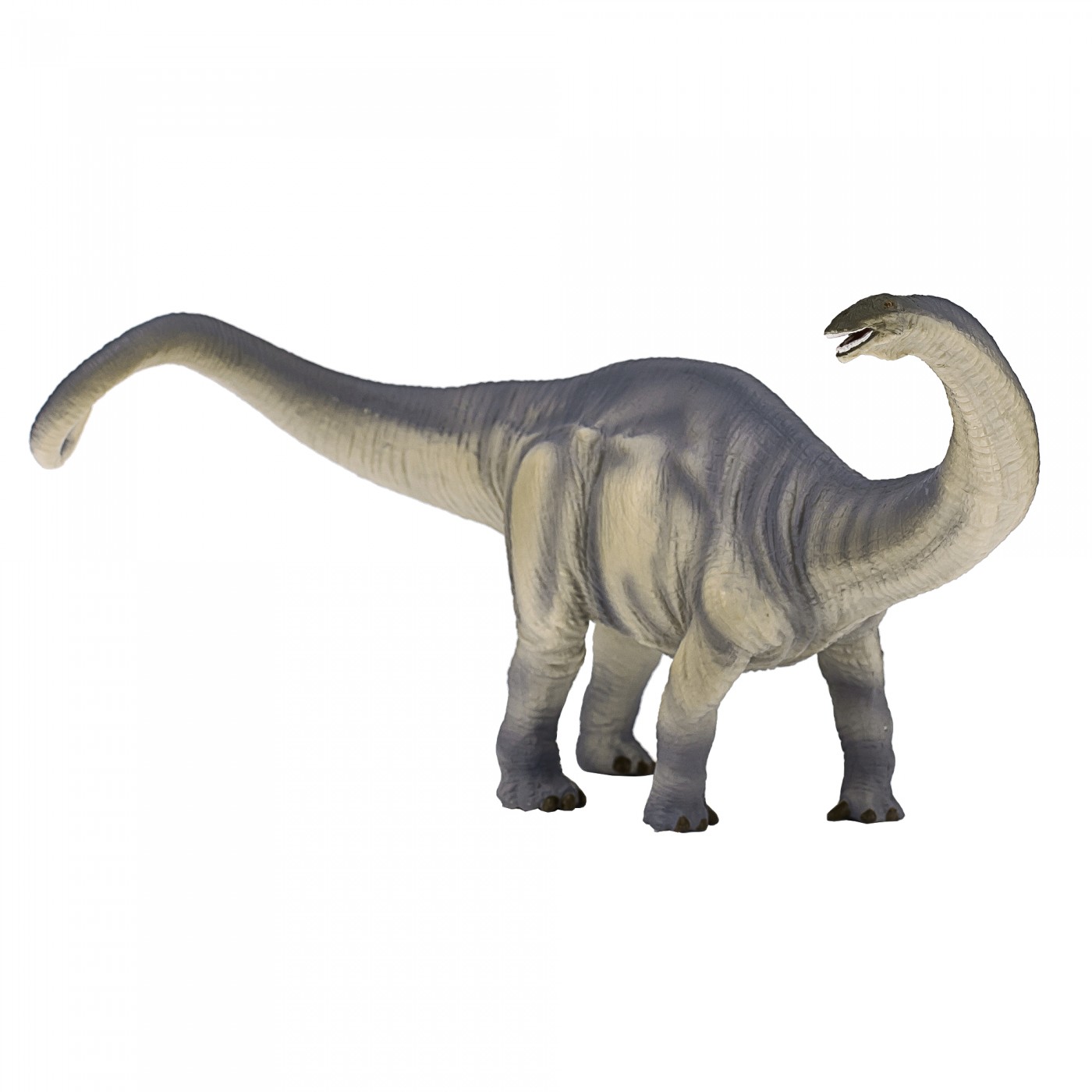 Animal Planet Brontosaurus dino 387384