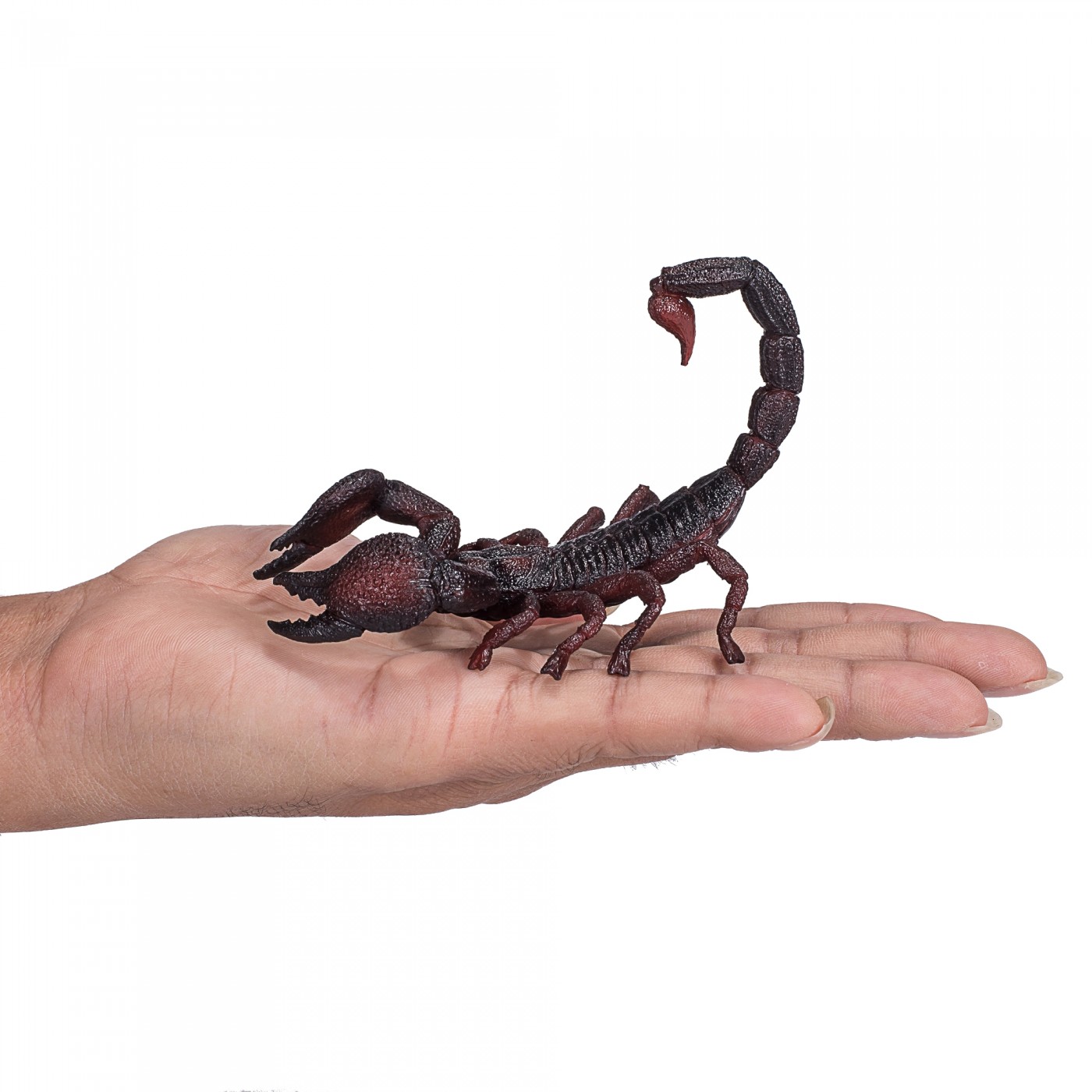 Animal Planet Emperor Scorpion 387133