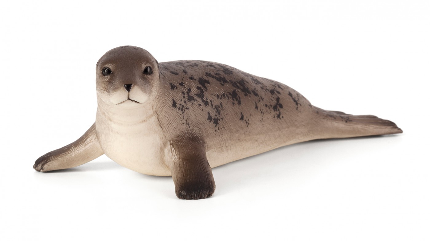 Animal Planet Gray Seal 387091