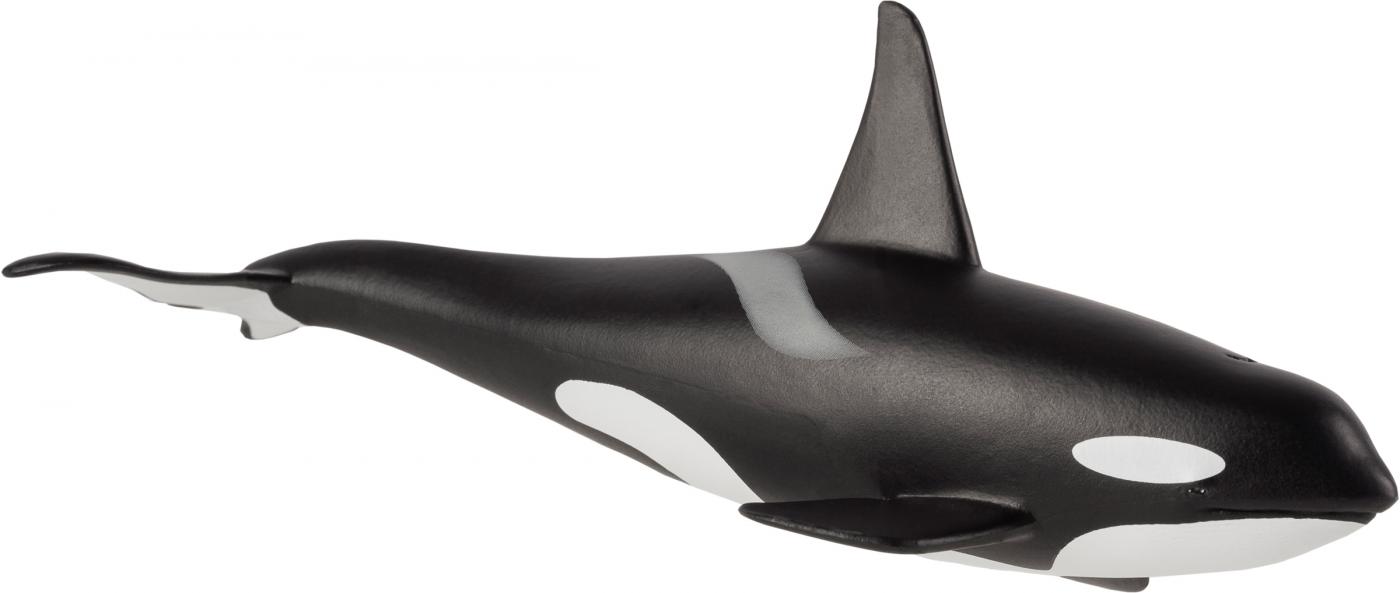 Animal planet best sale orca toy