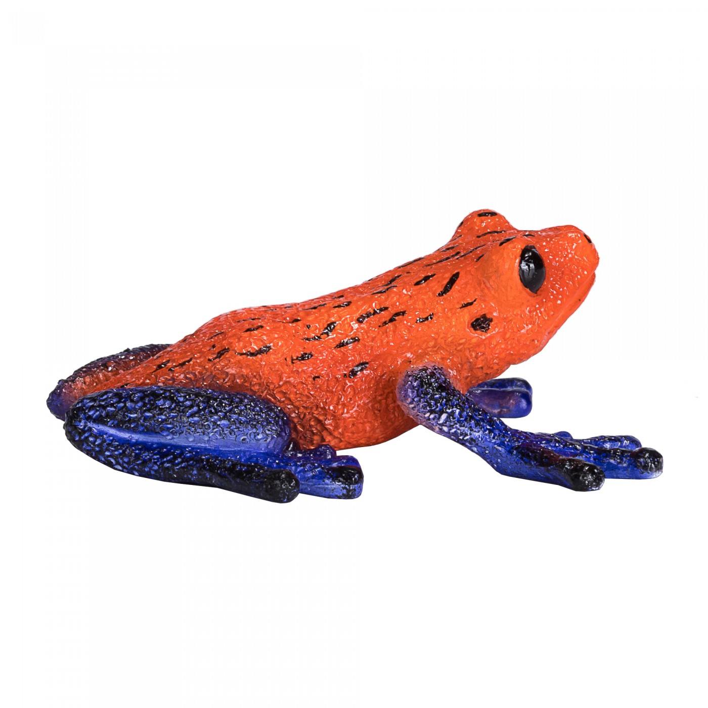 Animal Planet poison dart frog 381016