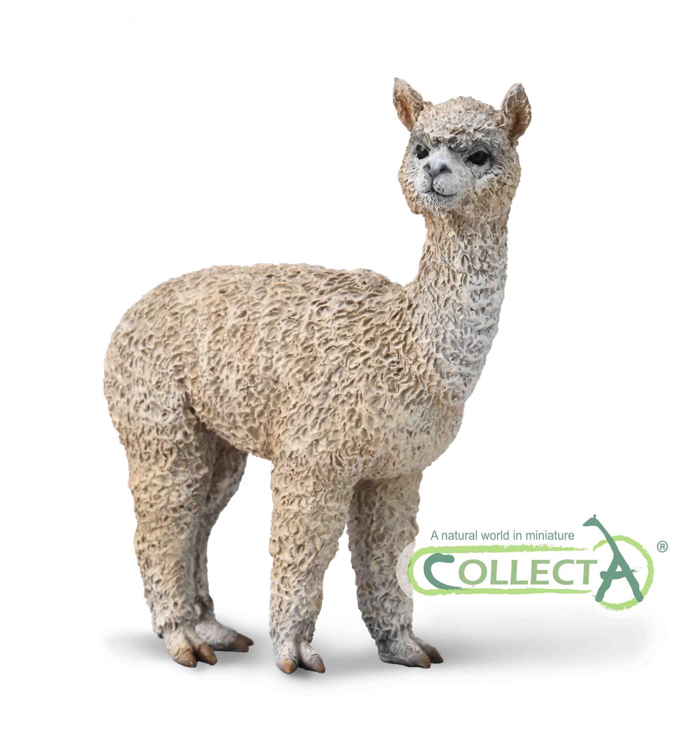 CollectA Wild Life Collection CollectA Alpaca 88960