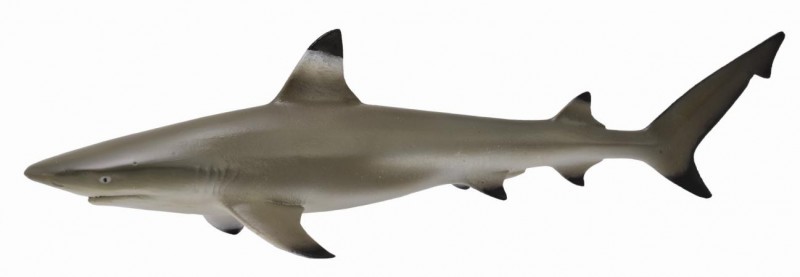 CollectA Blacktip Reef Shark 88726 L 10cm