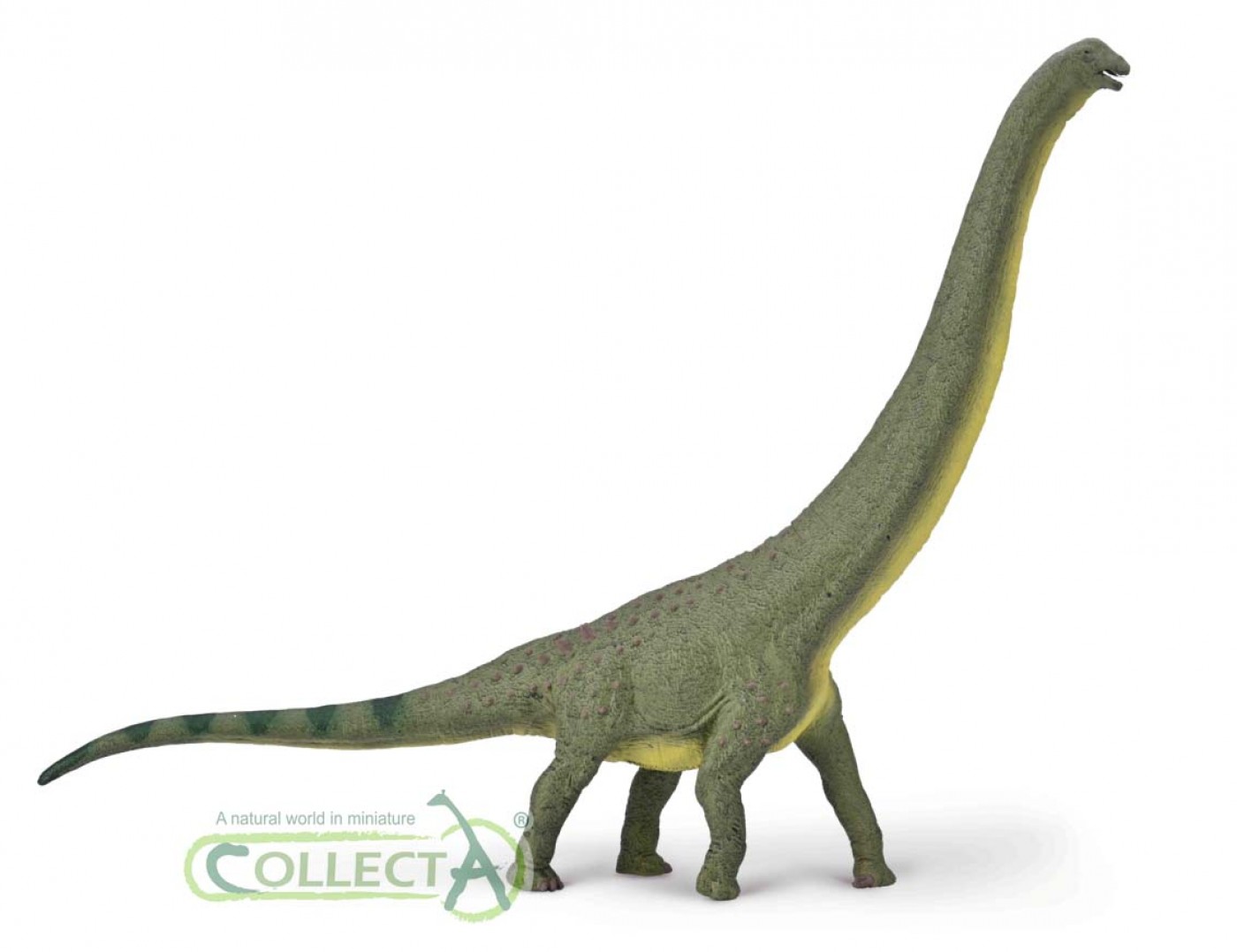 CollectA Prehistoric Life Deluxe Scale: CollectA Dreadnoughtus - Deluxe ...