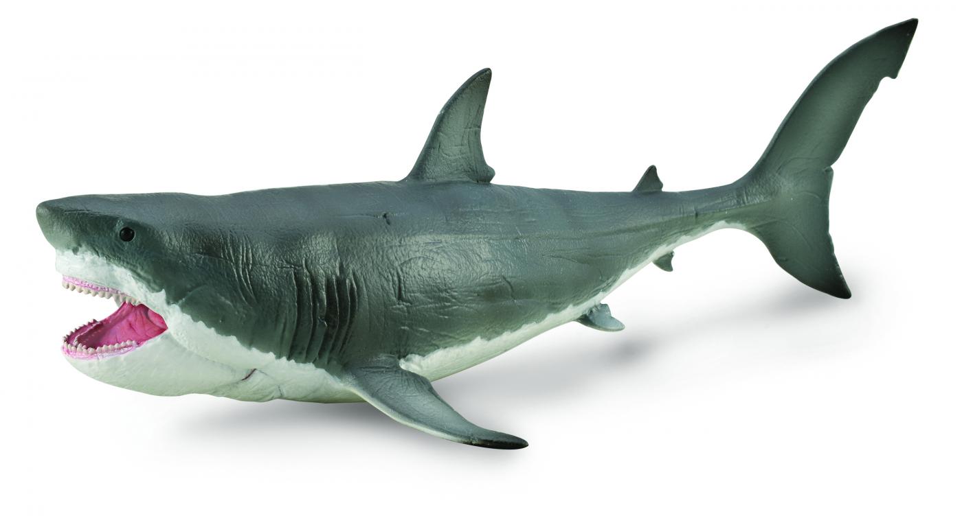 CollectA Prehistoric Deluxe: Megalodon with movable Jaw true to scale 88887