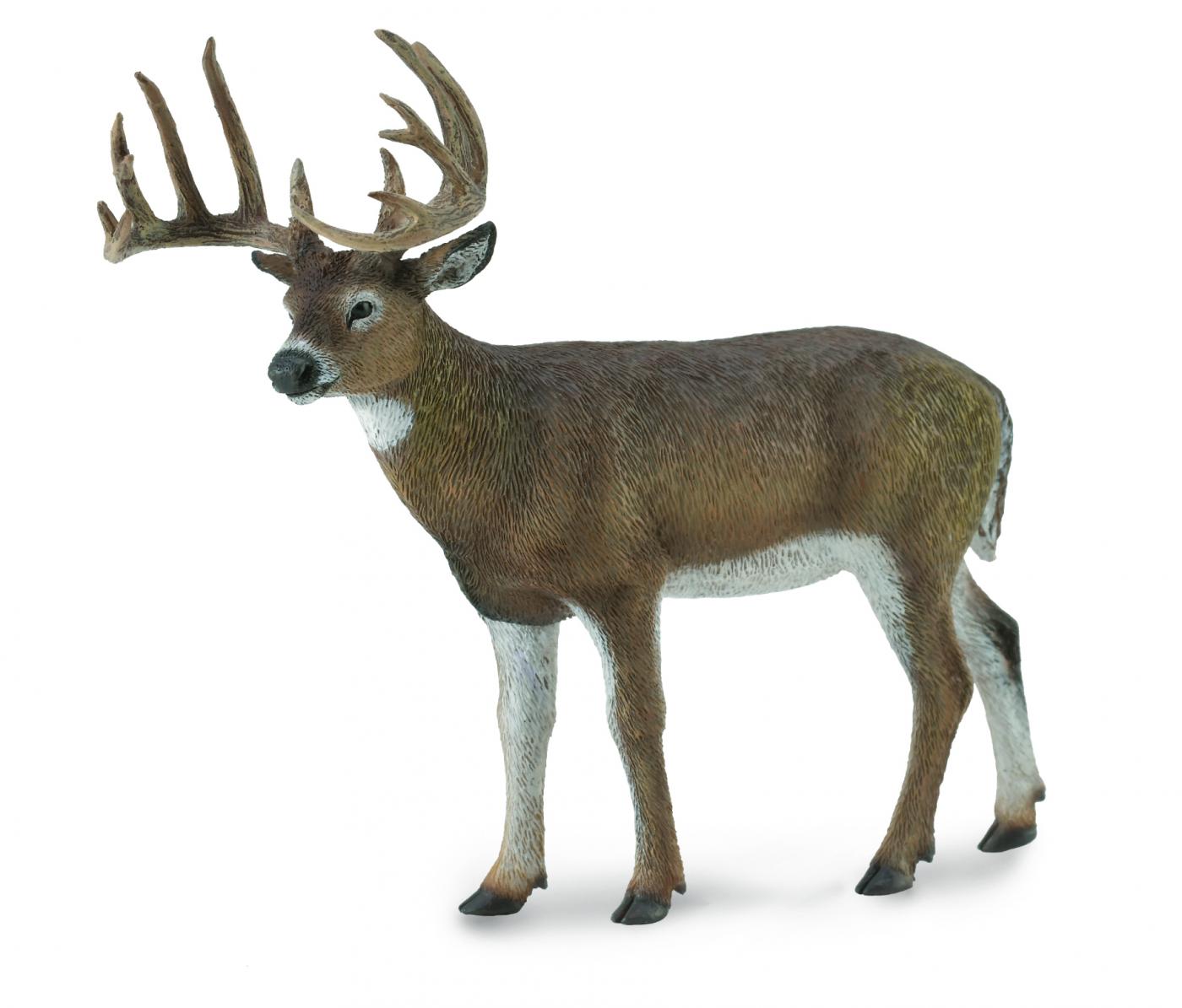 CollectA Woodlands: CollectA White-Tailed Deer 88832