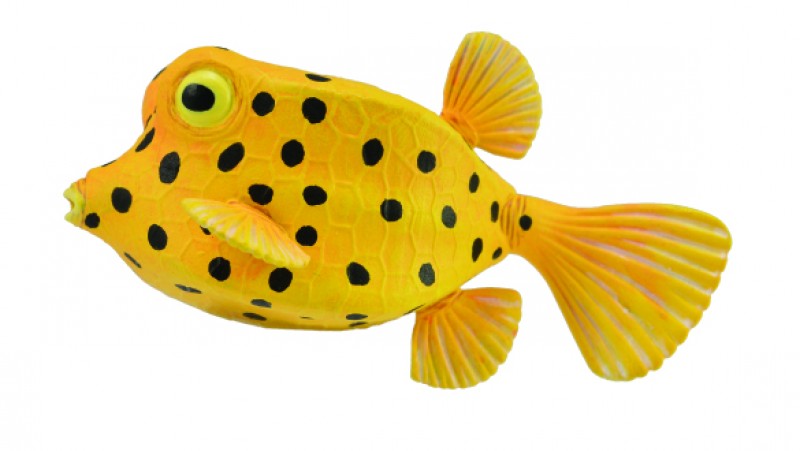 CollectA Sealife: CollectA Yellowish brown suitcase fish 88788