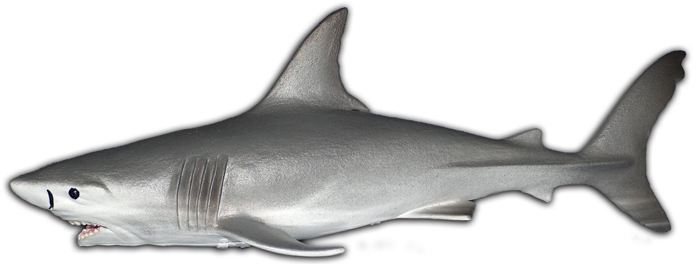 13001 Baby Great White Shark Animal Figures At Spielzeug Guenstig De