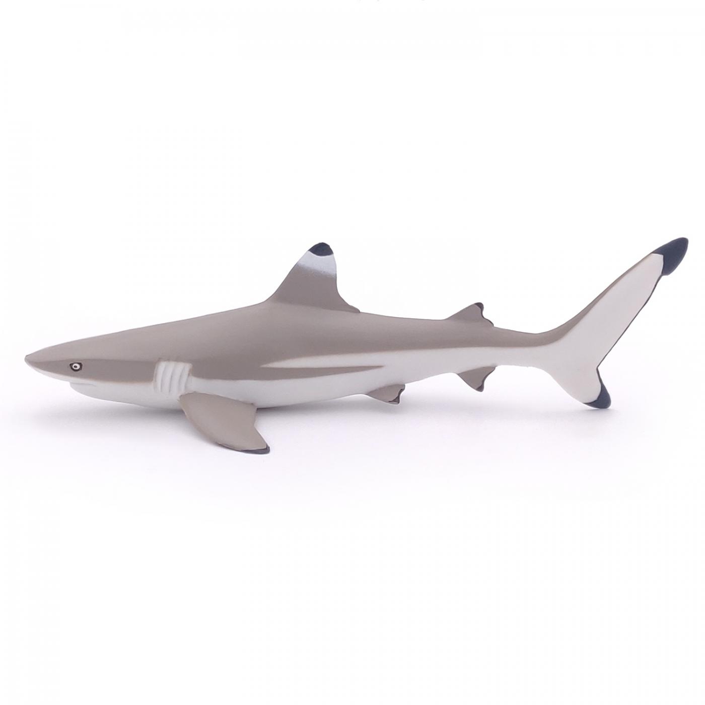 Papo Marine Life: Papo Blacktip reef shark 56034