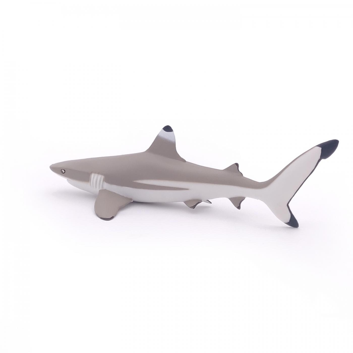 Papo Marine Life: Papo Blacktip reef shark 56034