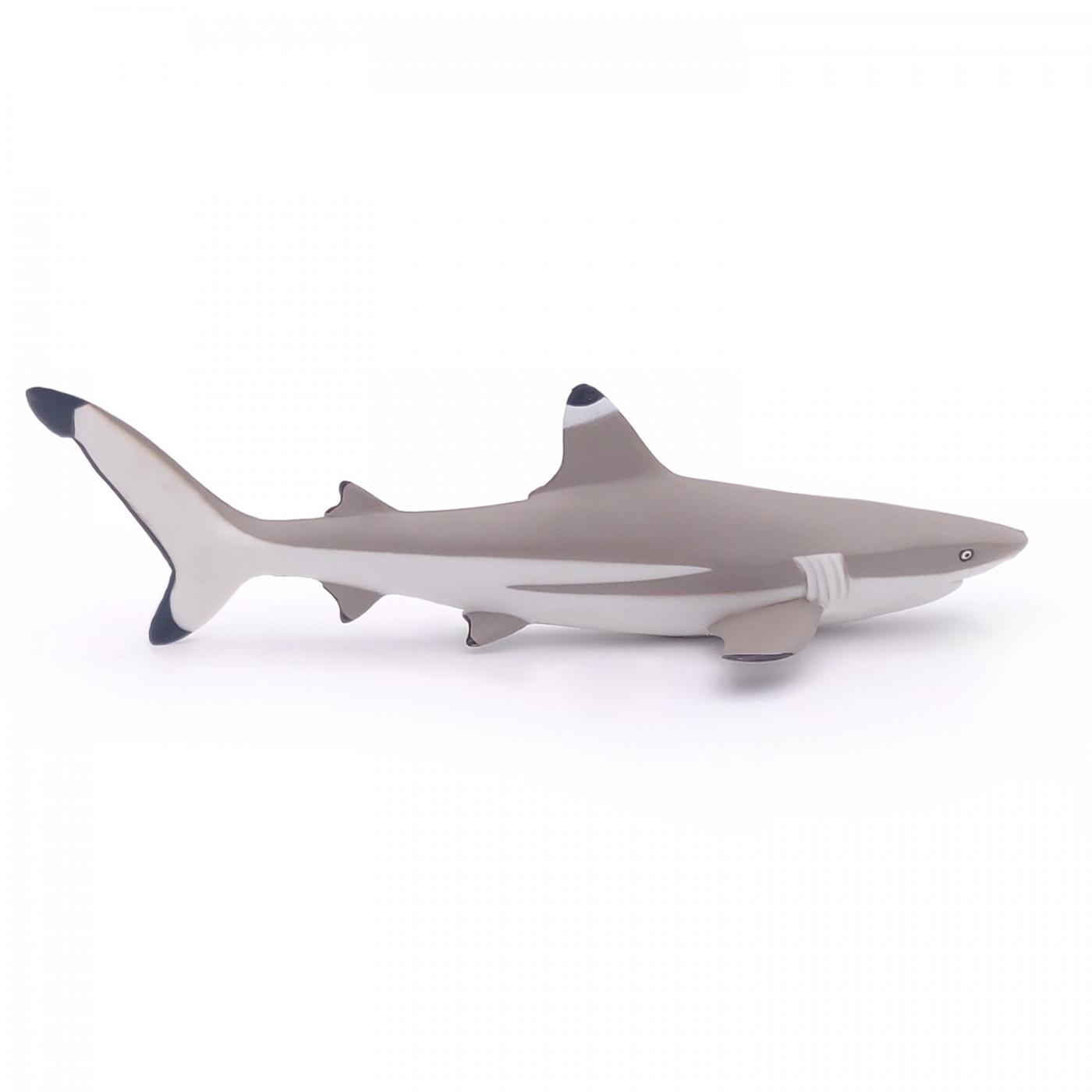 Papo Marine Life: Papo Blacktip reef shark 56034