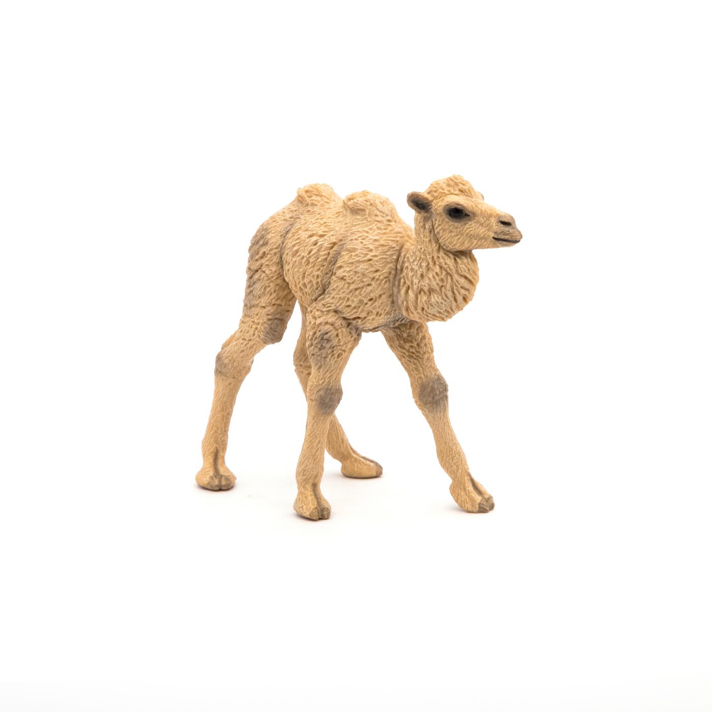 Papo Wild Animal Kingdom: Papo Camel Cub 50221