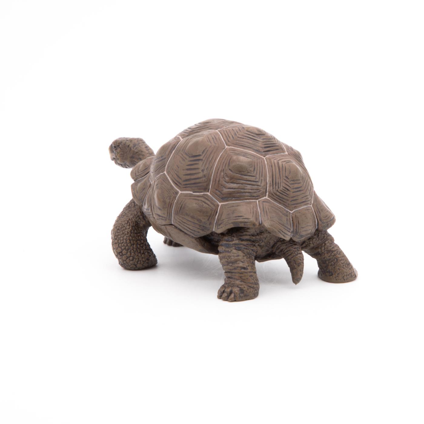 Papo 50161 Galapagos giant tortoise - animal figures at spielzeug ...