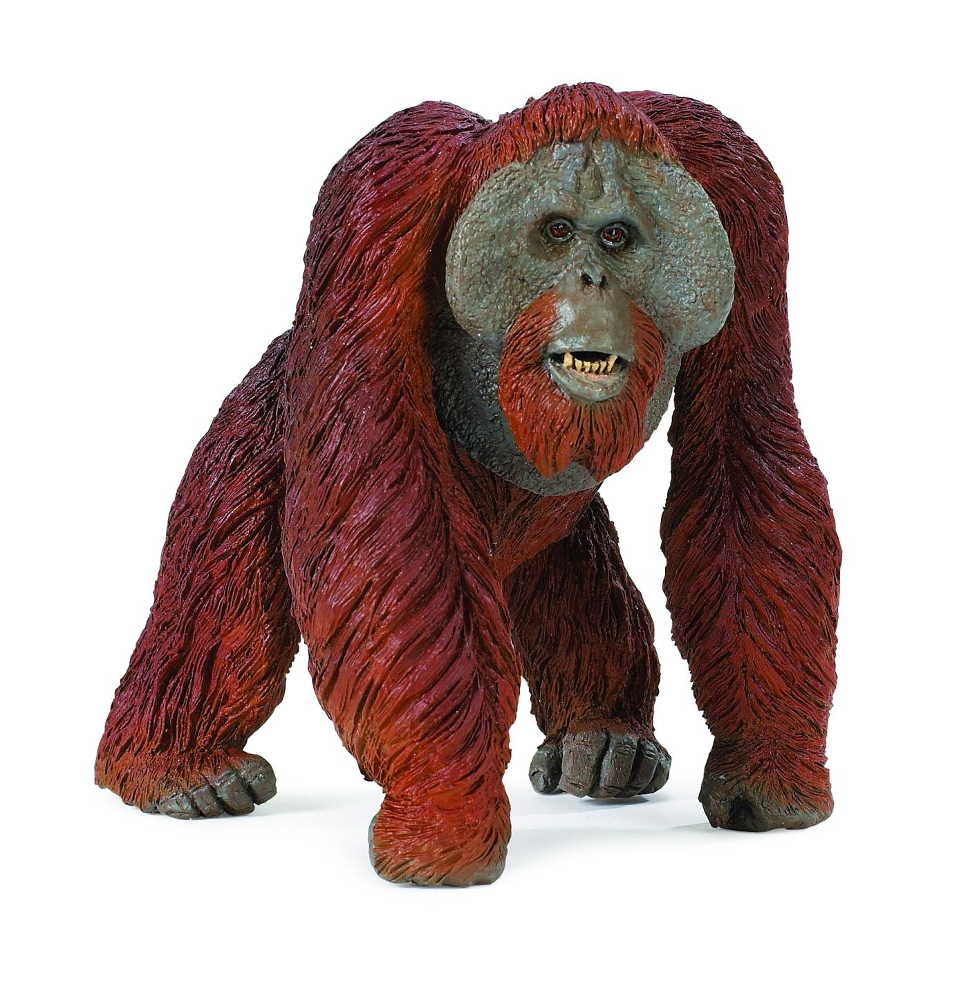 papo orangutan