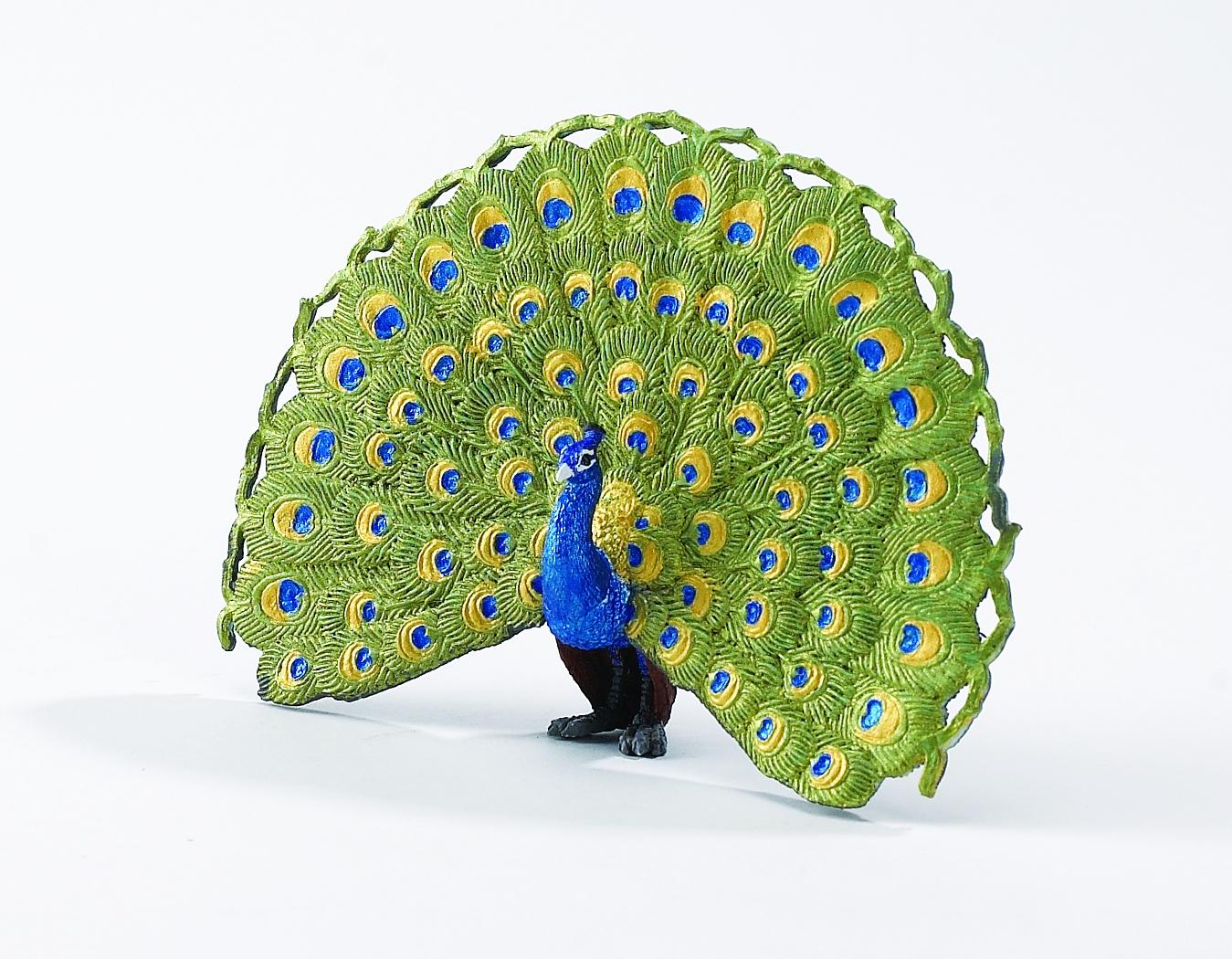 safari ltd peacock