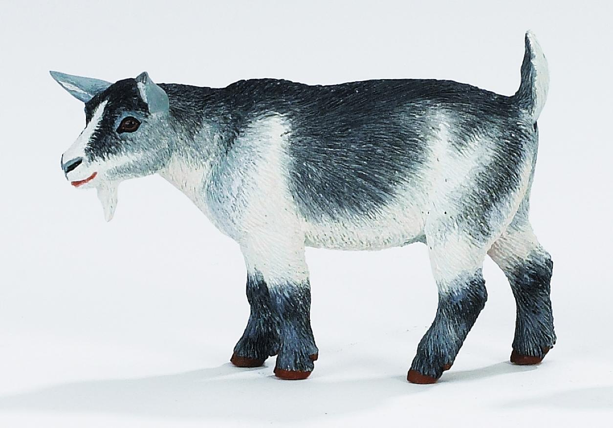 Safari Ltd 2451 Pygmy Goat - Animal Figures At Spielzeug-guenstig.de