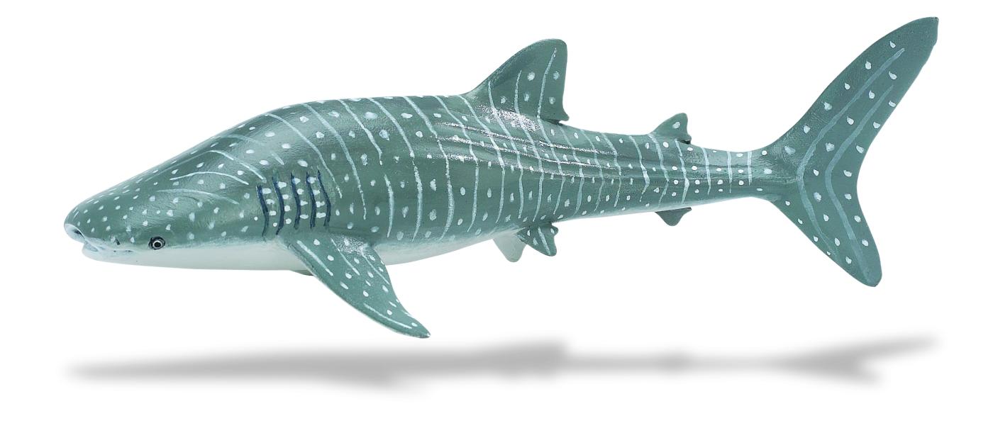 whale shark figure
