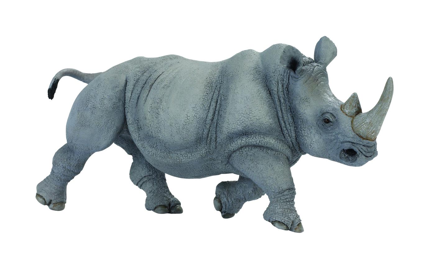 rhino safaris ltd