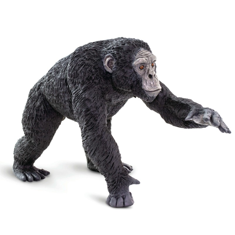Wildtier Schimpanse Safari Safari 100302 Wunder XL-Größe: