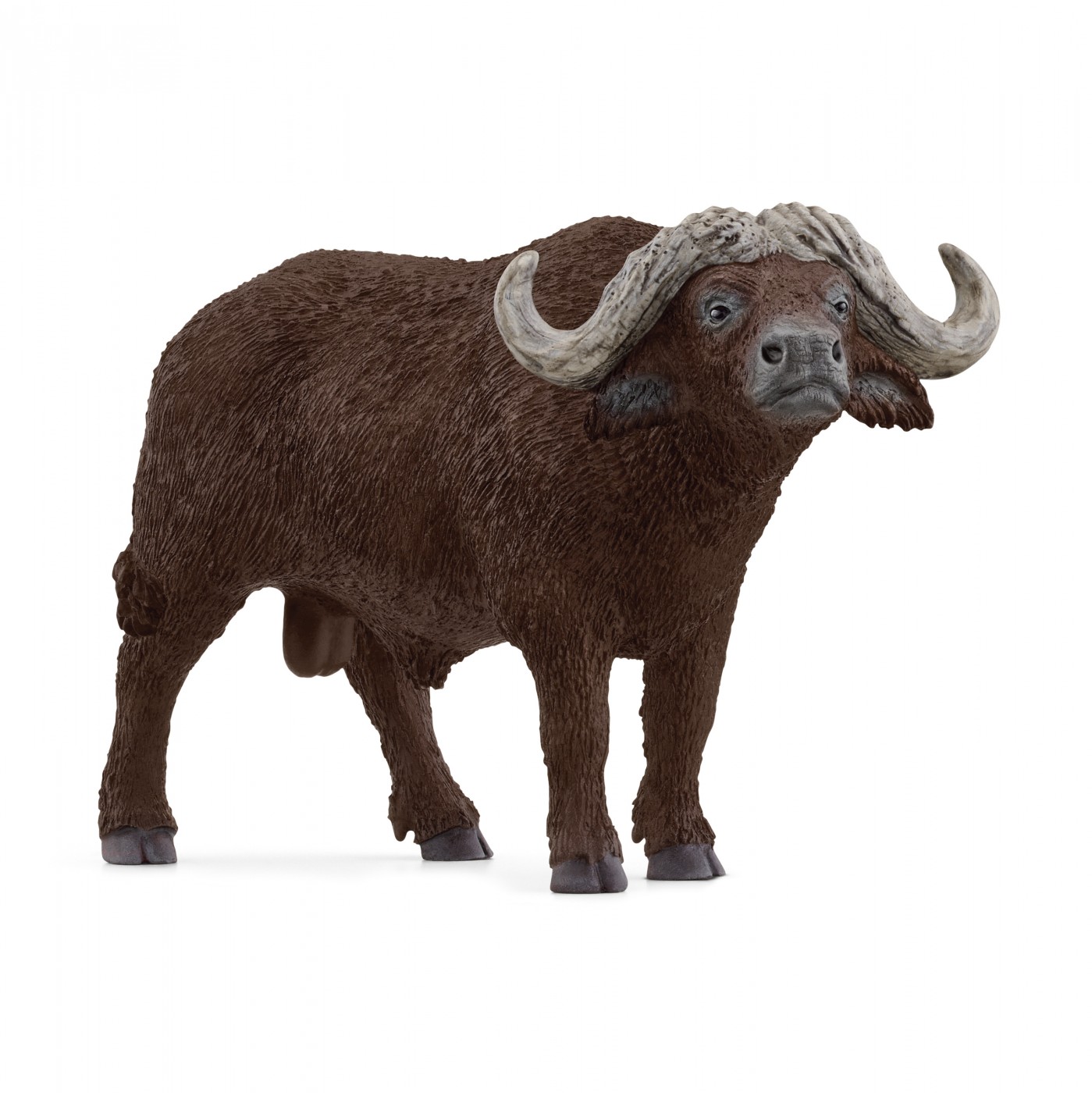 Schleich WildLife: Schleich African Buffalo 14872