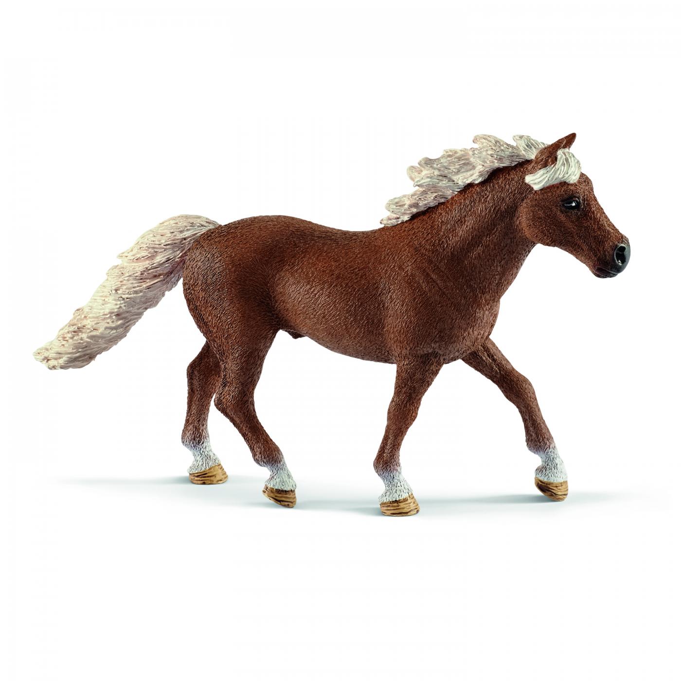 Schleich Horse Club Zubehör: Schleich Pony Geschicklichkeits-Training 42481