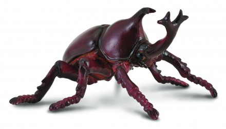 Beetle toys on sale