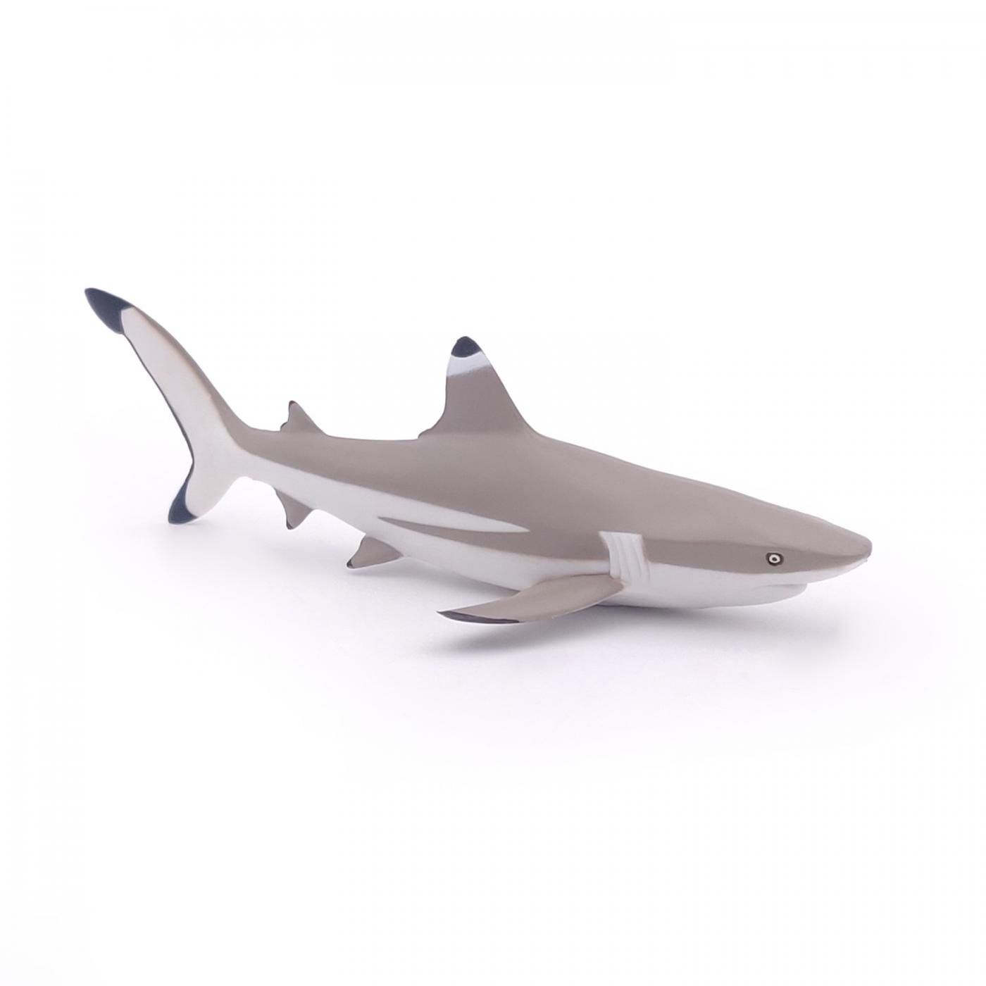 Papo Marine Life: Papo Blacktip reef shark 56034