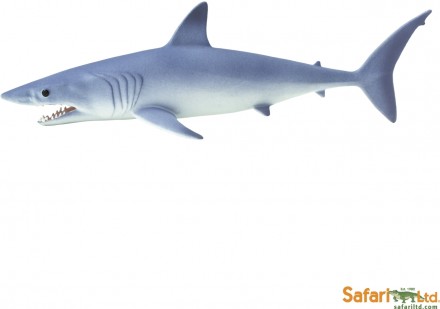 safari ltd mako shark