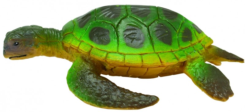 Safari Ltd 2743 green turtle - animal figures at spielzeug-guenstig.de