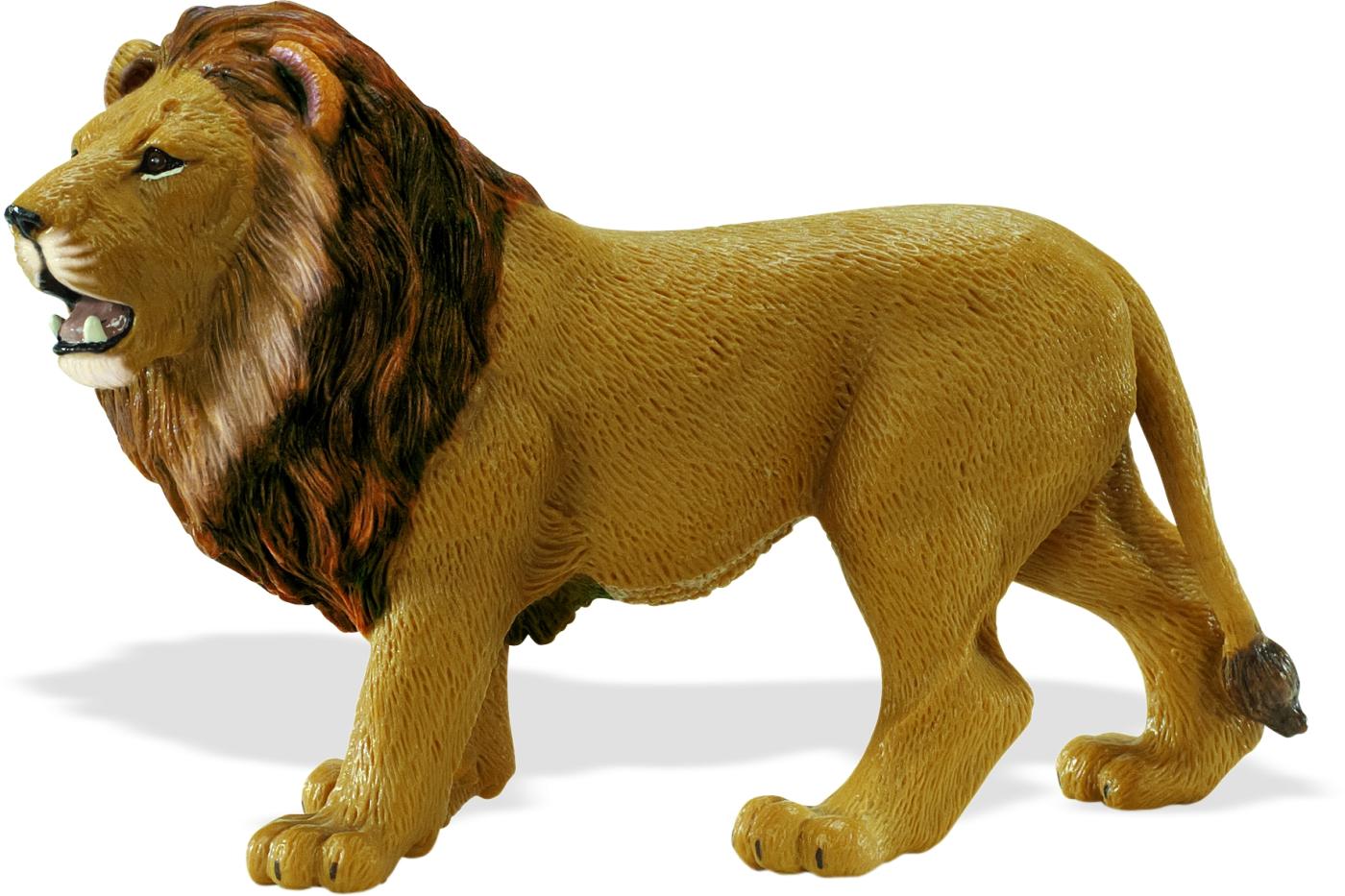 lion safari ltd